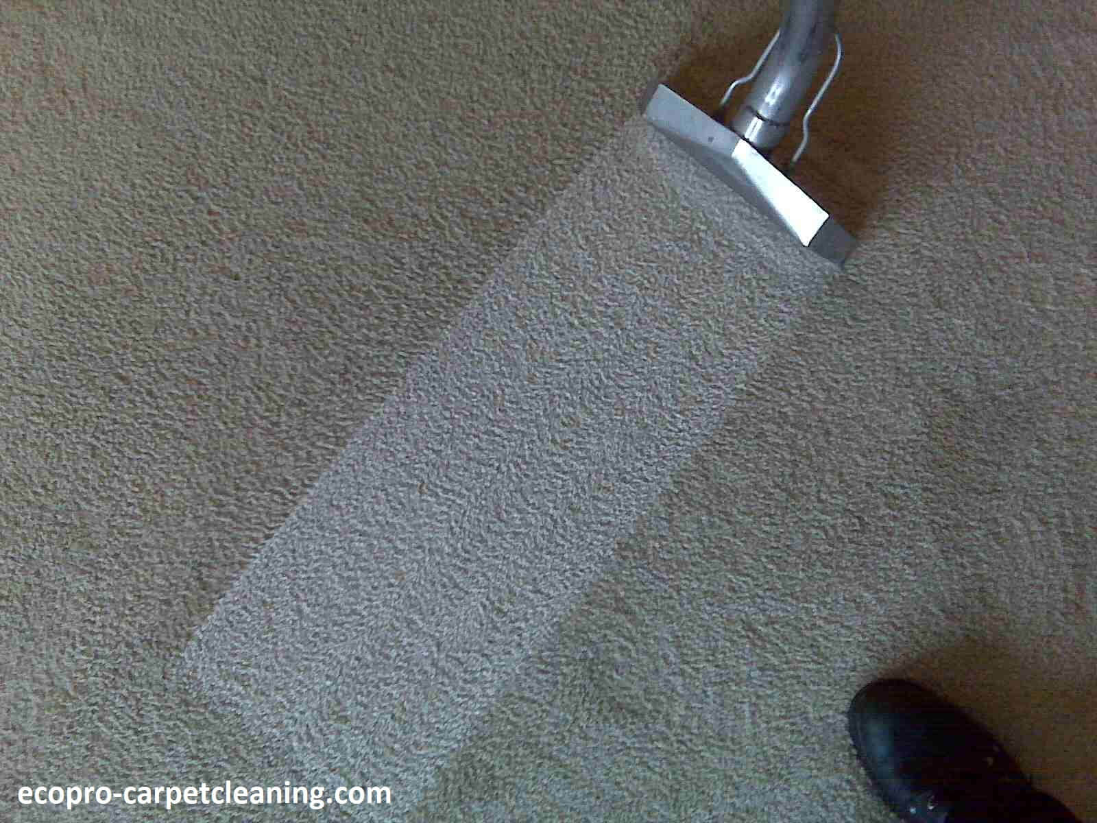 commercial carpet cleaning service chicago