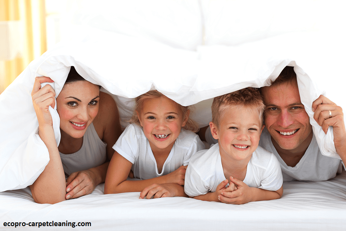 professional mattress cleaning service chicago