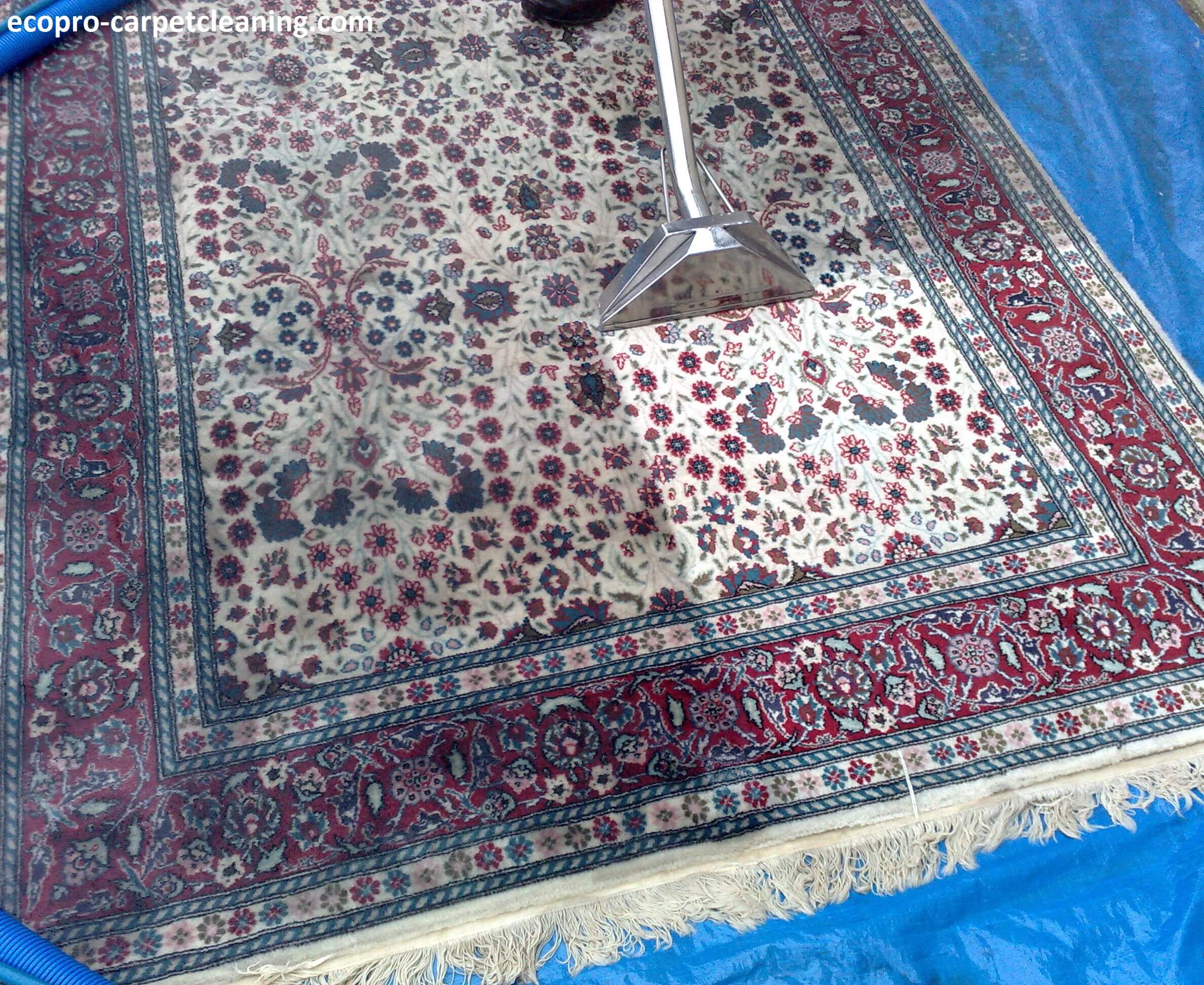 rug cleaning service chicago